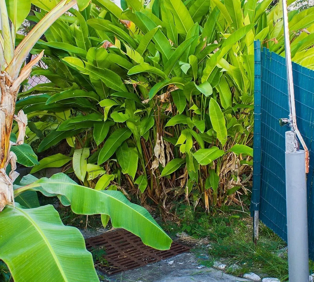 Apartment Idyllic Island-Style Flat In Sainte-Anne, Guadeloupe, With One Bedroom