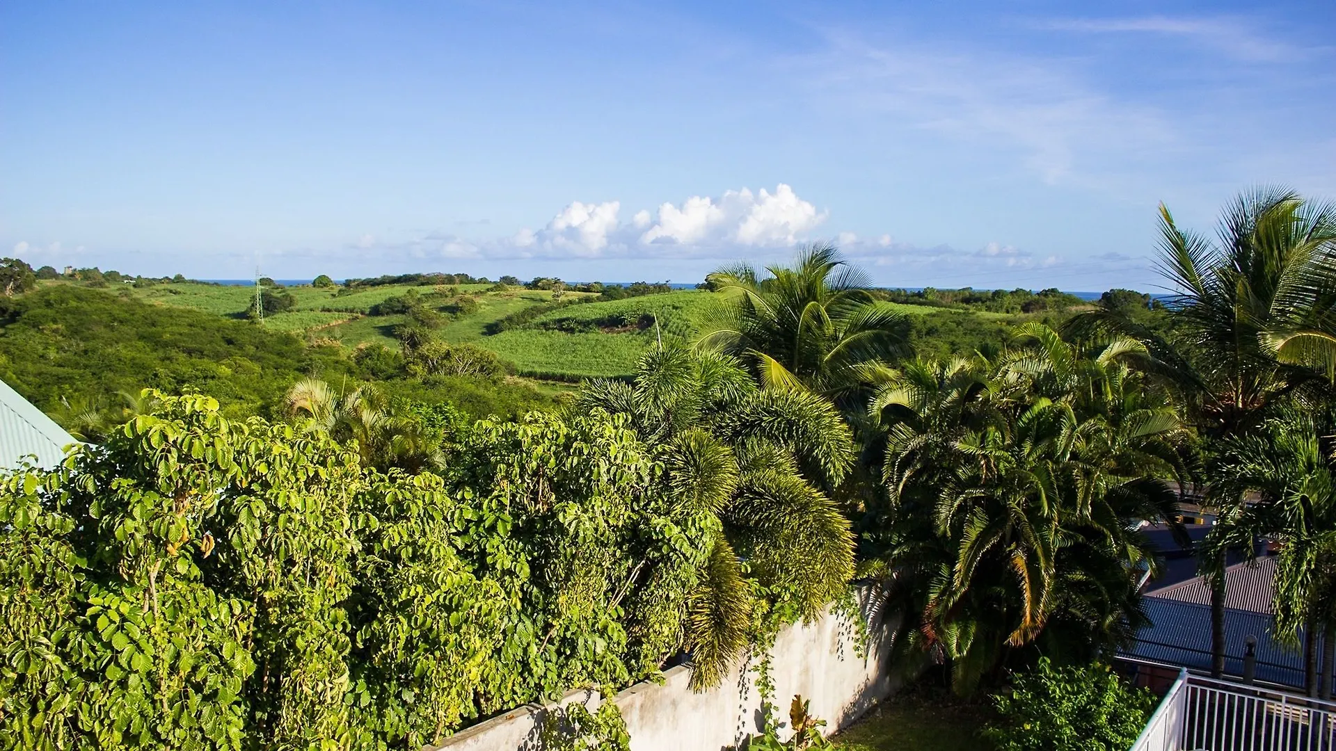 Idyllic Island-Style Flat In Sainte-Anne, Guadeloupe, With One Bedroom Lägenhet